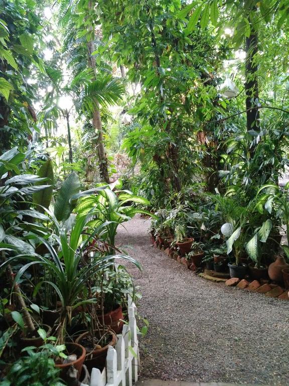 Green Woods Bethlehem Kochi Εξωτερικό φωτογραφία