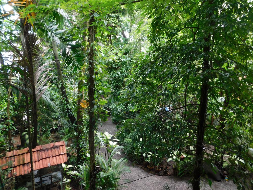 Green Woods Bethlehem Kochi Εξωτερικό φωτογραφία