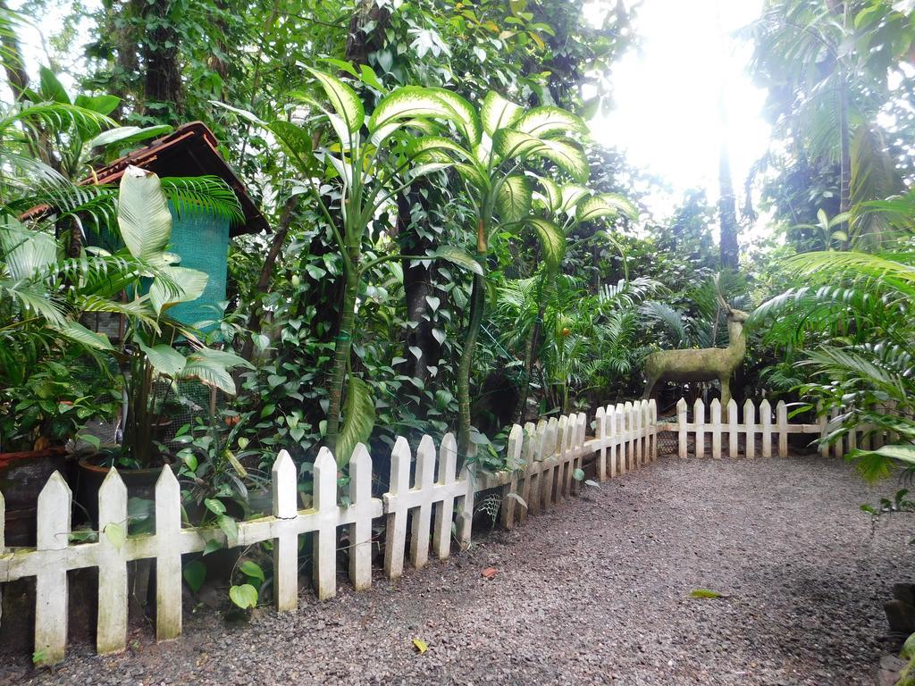 Green Woods Bethlehem Kochi Εξωτερικό φωτογραφία