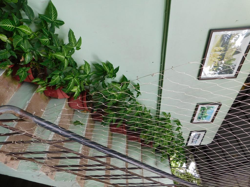 Green Woods Bethlehem Kochi Εξωτερικό φωτογραφία